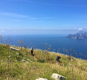 How to Hike Punta Campanella: Trail Guide & Tips