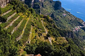 Le cantine vinicole della Costiera 