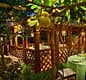 Dining Under a Canopy of Lemons