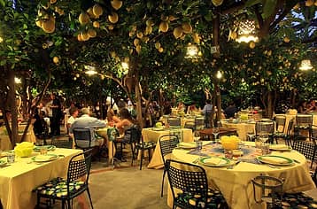 Dining Under a Canopy of Lemons
