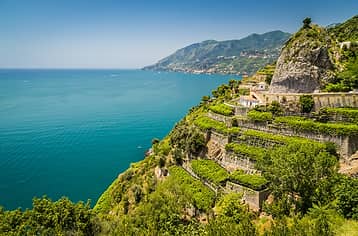 The Path of the Lemons