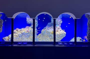 L'Acquario di Napoli