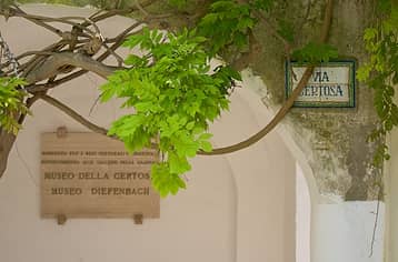 La Certosa di San Giacomo