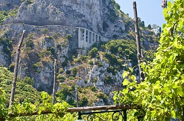 The Phoenician Steps