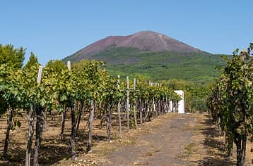 Cantina del Vesuvio