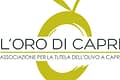 L'Oro di Capri
