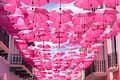 Christina Pink Service (Test Servizi) ITALIANO