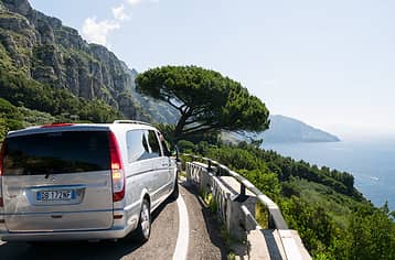 Sorrento Limo