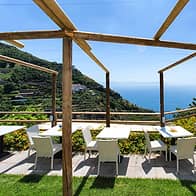 Holidays Fico D'India