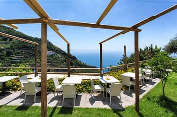 Holidays Fico D'India