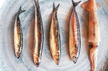 Trattoria Da Lorenzo