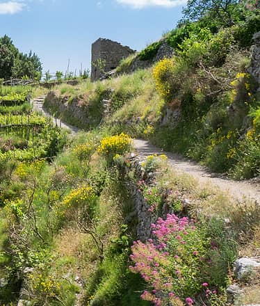Guided Hike of the Path of the Gods from Sorrento 