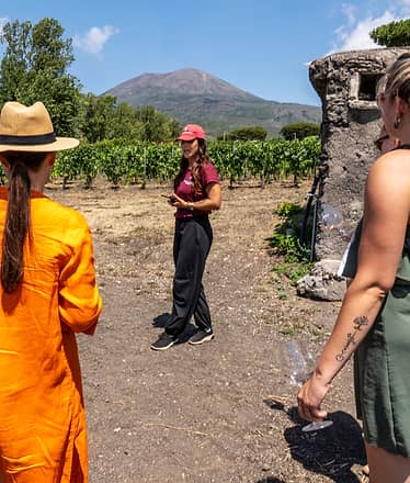 Organic "Classico" Wine Tasting with Lunch on Vesuvius