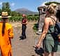 Organic "Classico" Wine Tasting with Lunch on Vesuvius