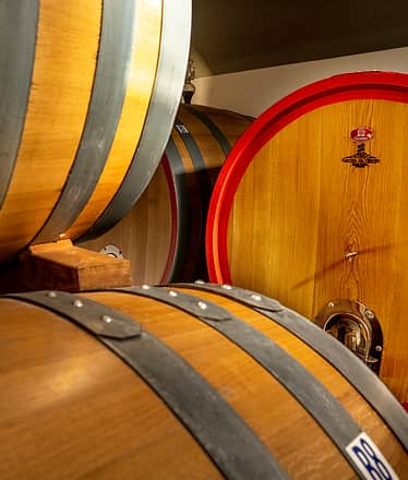 Organic "Classico" Wine Tasting with Lunch on Vesuvius