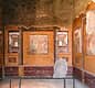 Guided walking tour of Pompeii  Skip-the-line Tickets