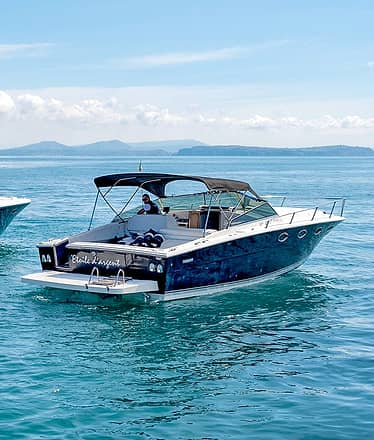 Boat Tour of Ischia + Procida 