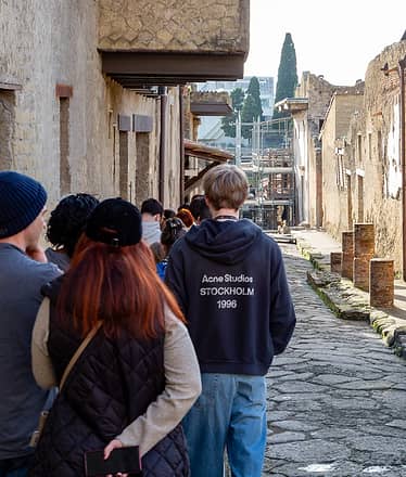 Herculaneum: Guided Tour Departing from Naples