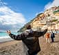 Amalfi Coast and Pompeii: Tour from Naples + lunch