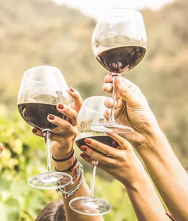 Pompeii and Mt. Vesuvius with lunch and optional wine tasting