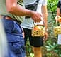 Sorrento Hands-On Cooking Class