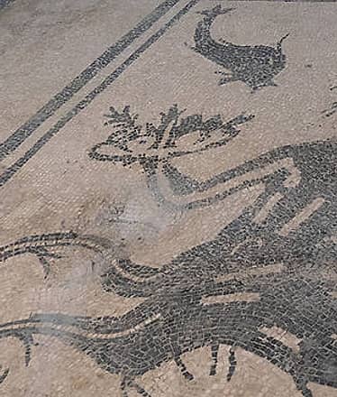 Private Pompeii, Herculaneum, & Mt. Vesuvius Tour