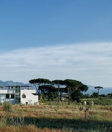 Organic "Superior" Wine Tasting with Lunch on Vesuvius