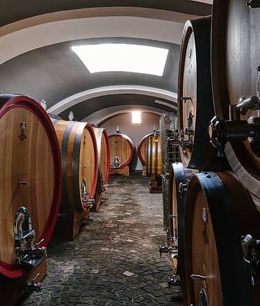 Organic "Superior" Wine Tasting with Lunch on Vesuvius