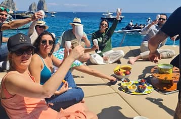 Capri Premium Tour Max 8 People from Sorrento