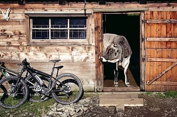 Food & Wine E-Bike Tour in Sorrento Peninsula