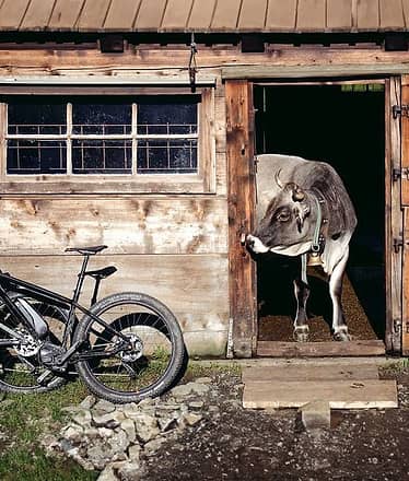 Food & Wine E-Bike Tour in Sorrento Peninsula