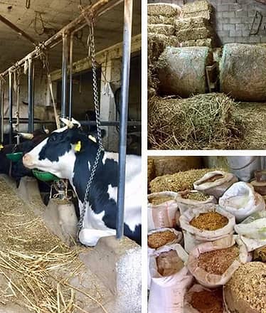 Food & Wine E-Bike Tour in Sorrento Peninsula