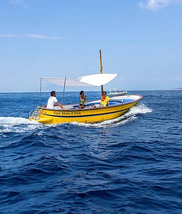 Capri private tour aboard 7.5-meter gozzo boat 