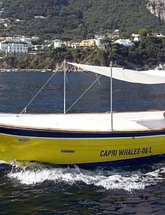 Capri 6-meter gozzo boat rental (no boating license required)