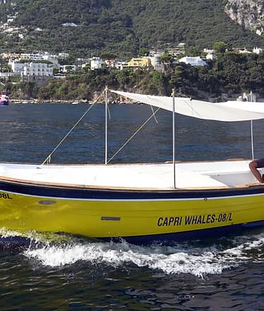 Capri 6-meter gozzo boat rental (no boating license required)