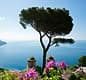 Private day tour from Rome to Positano, Amalfi, and Ravello.