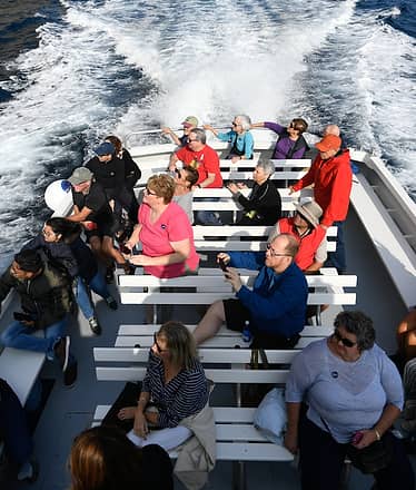 Capri, giro in barca con biglietto a data aperta