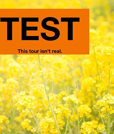 TESTPrivate Boat Tour of Capri and Positano Titolo