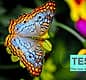  - TEST Giro dell'Isola - TEST