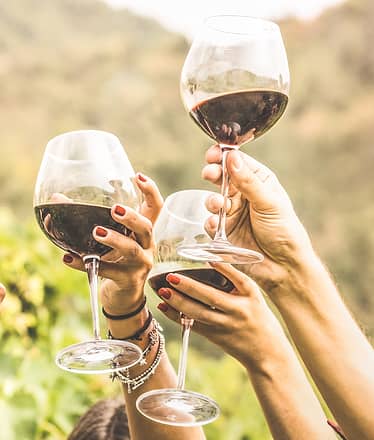 Tour al Vesuvio con wine tasting - Da Napoli