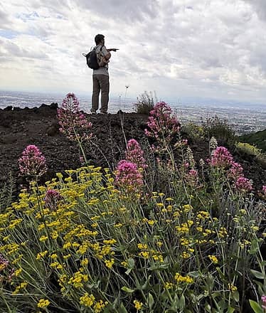 Tour al Vesuvio con wine tasting - Da Napoli