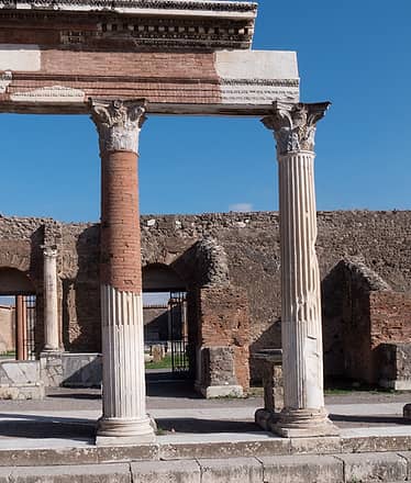 Private Pompeii + Herculaneum Tour Driver + Guide 