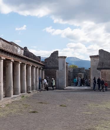Private Pompeii + Herculaneum Tour Driver + Guide 