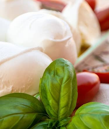 Private Tour of Paestum from Sorrento - Driver + Guide