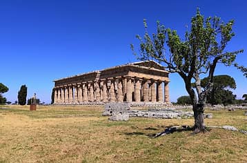 Private Tour of Paestum from Sorrento - Driver + Guide