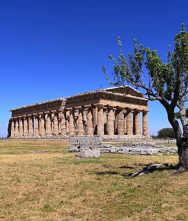 Private Tour of Paestum from Sorrento - Driver + Guide