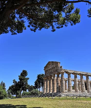 Private Tour of Paestum from Sorrento - Driver + Guide