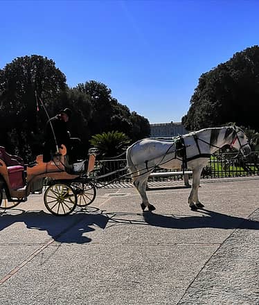 Royal Palace of Caserta  from Sorrento - Driver+Guide