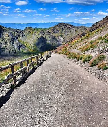 MT. Vesuvius with Guide, Ticket , Light Lunch & Wine T.