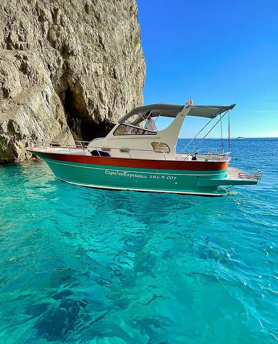 w355_h440_ccenter_d1.